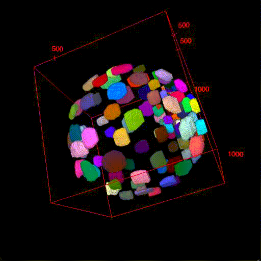 Ground truth segmentation of nuclei in late blastocyst embryo.
